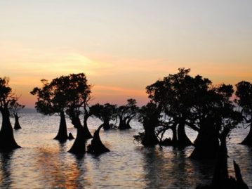 Fenomena-Sunset-yang-Unik-dan-Artistik-di-Pantai-Walakiri-Sumba-Timur