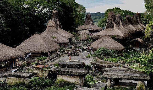 Kampung Adat Tarung Sumba